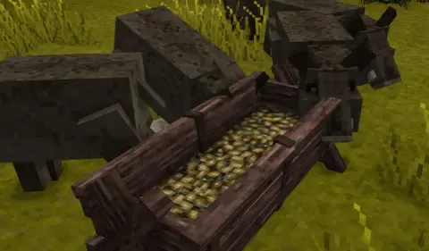 Acorns
