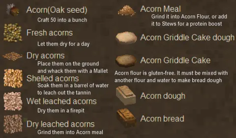 Acorns