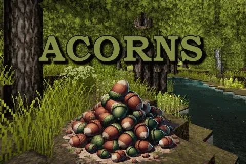 Acorns