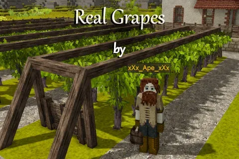 Real Grapes