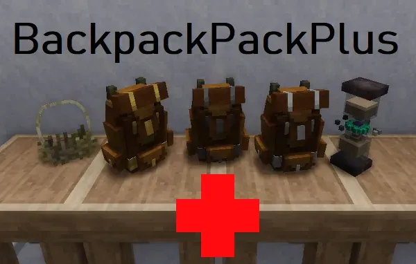 BackpackPackPlus Continued