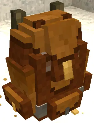 BackpackPackPlus Expanded
