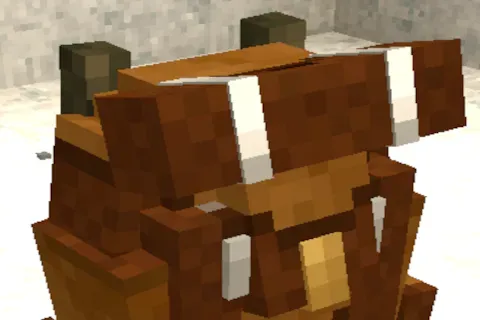 BackpackPackPlus Expanded