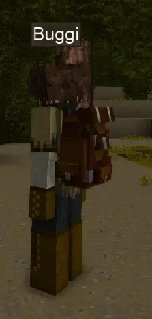 BackPackPack Plus FG