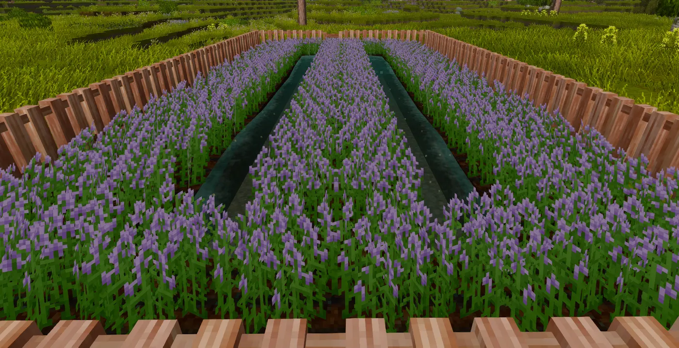 Biodiversity: Crops