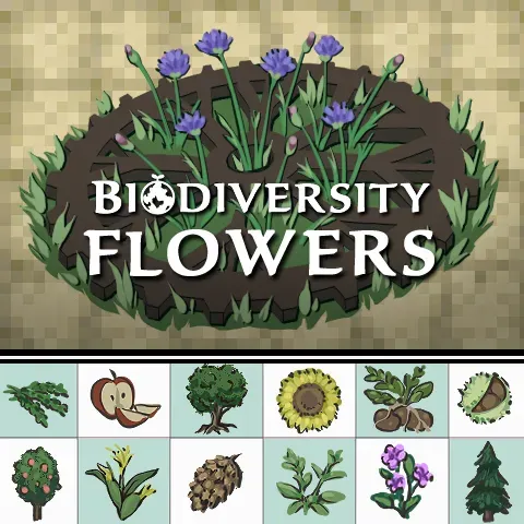 Biodiversity: Flowers and Grass