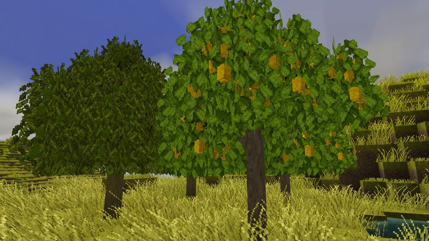 Biodiversity: Orchards