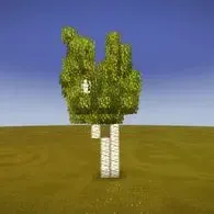 Shrub and double birch