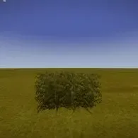 Dwarf larch