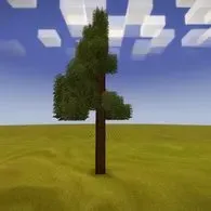 Normal redwood pine