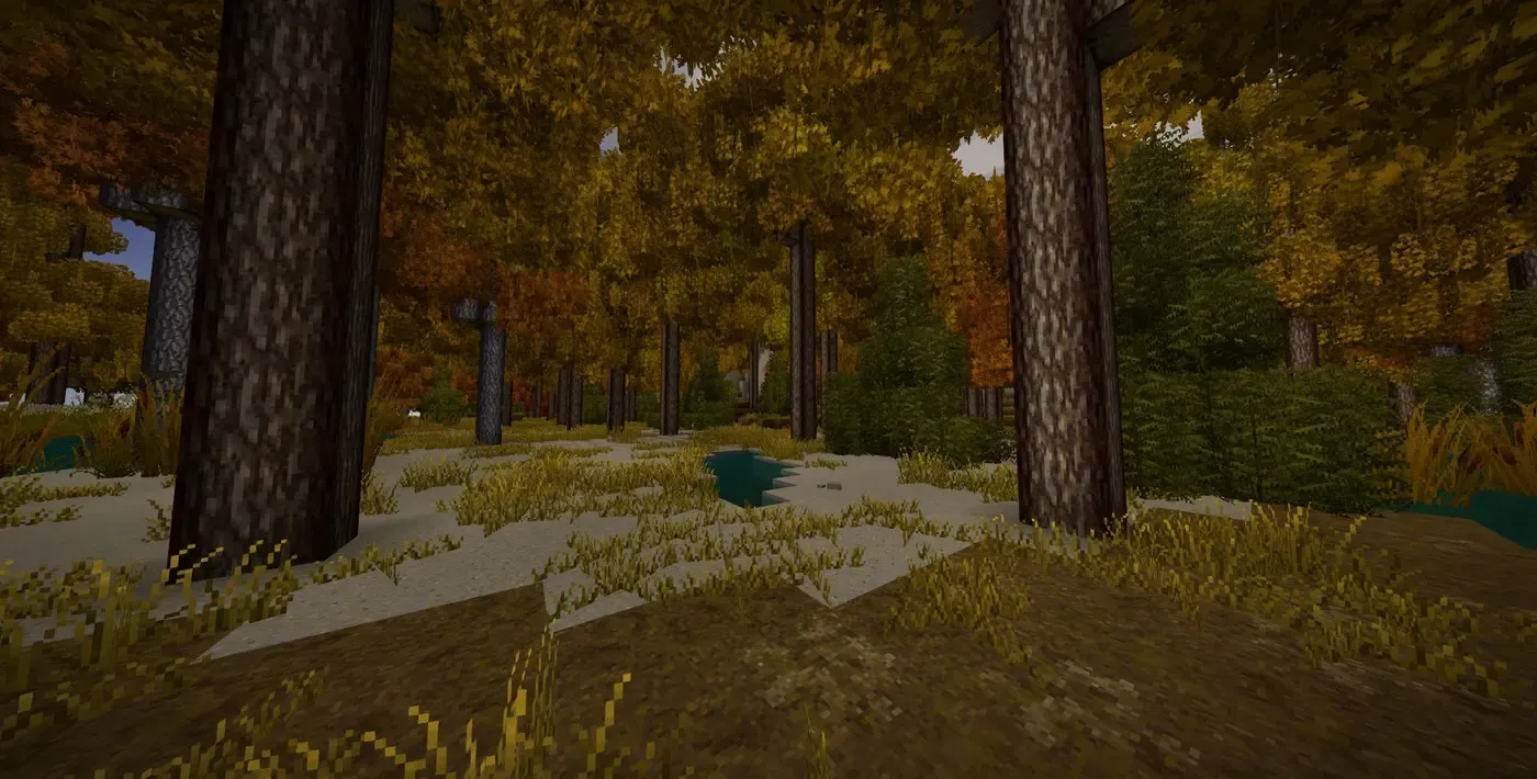 Better forest