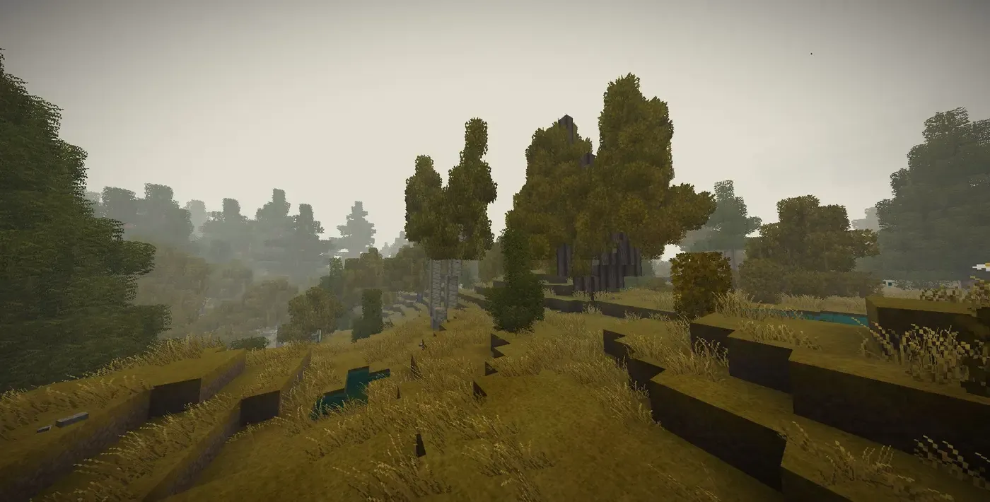 Better forest