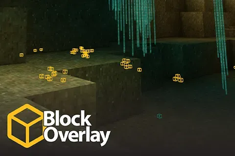 Block Overlay