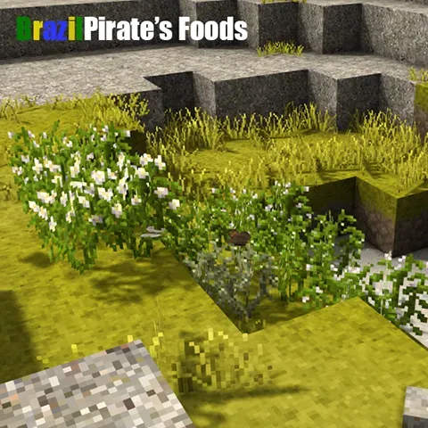 Brazil Pirate's Foods