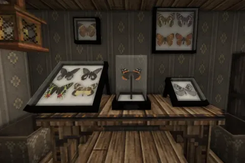 Butterfly Cases