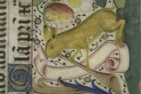 Cuniculture