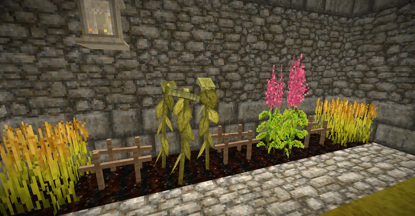 C&N Crops