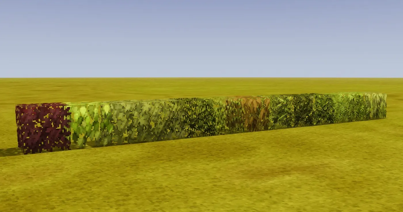 Chisel Leaf