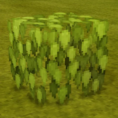 Chisel Leaf