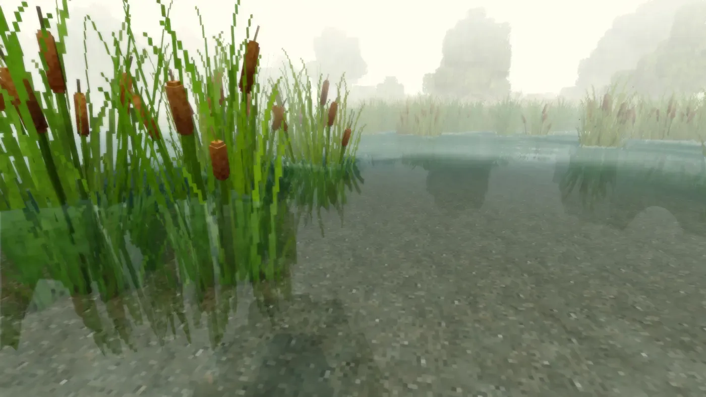 Coriaender Shaders