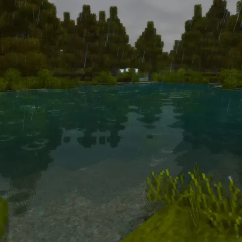 Coriaender Shaders