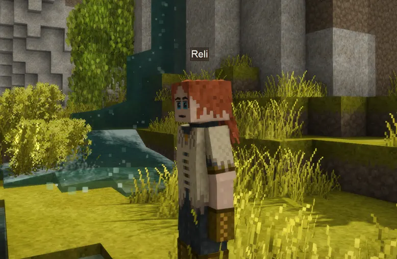 Crazy Skin Customization