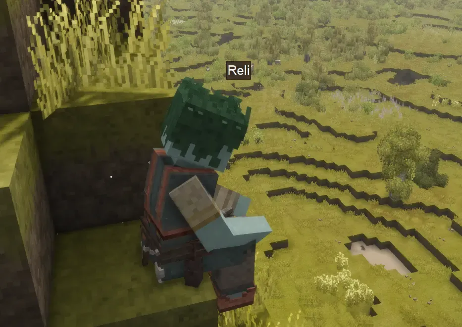 Crazy Skin Customization