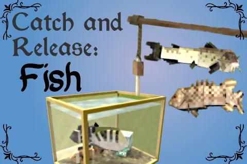 Catch and Release: Fish