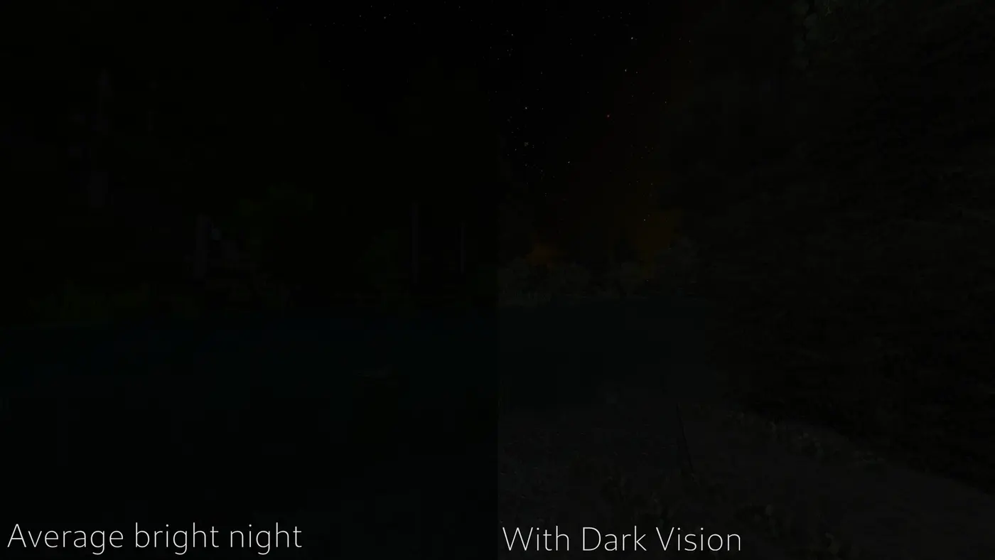 Dark Vision