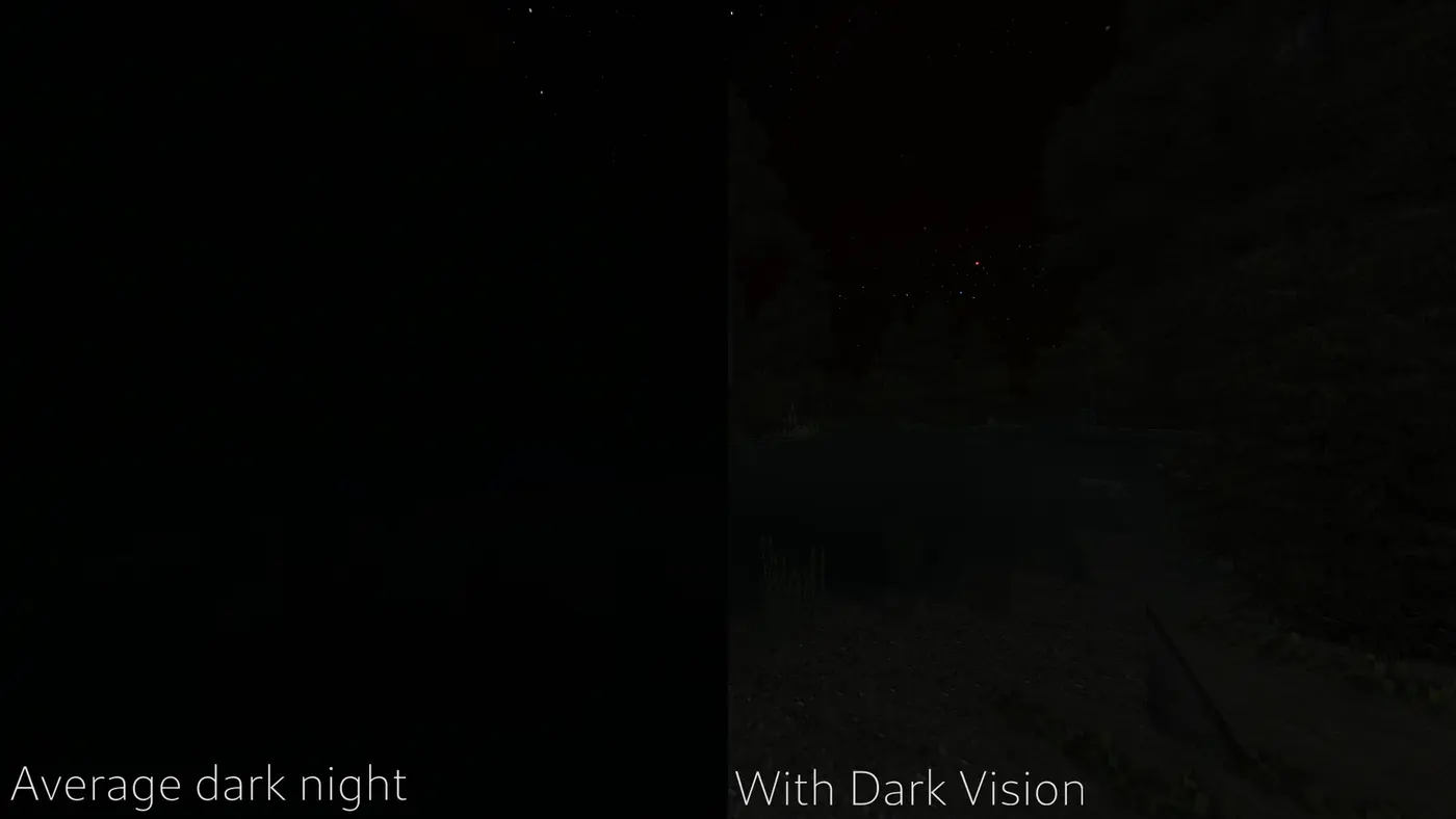 Dark Vision