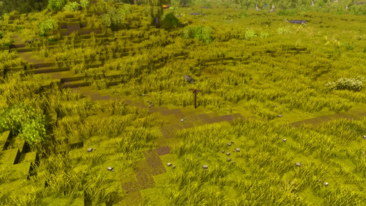 Desire Paths