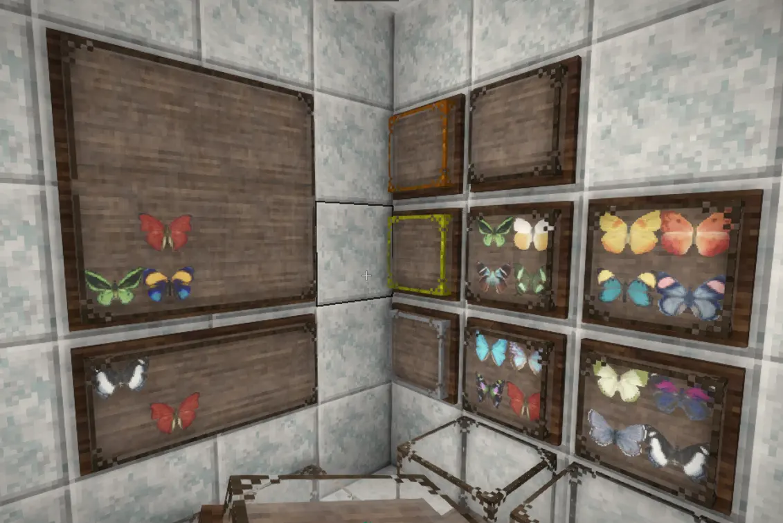 Display Case Wall