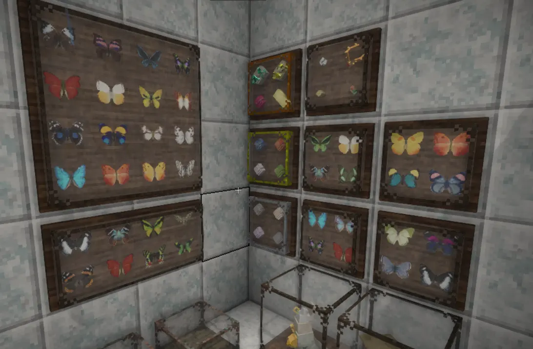 Display Case Wall