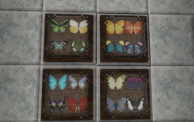 Display Case Wall