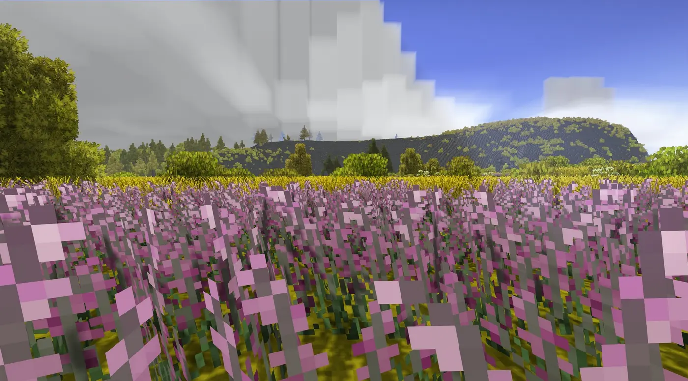 Ecosystem - Flora