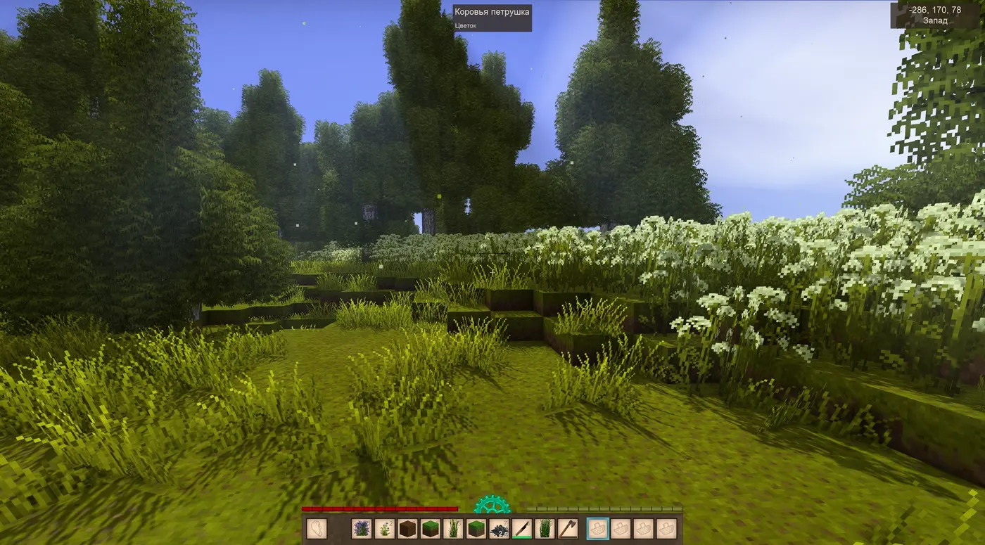 Ecosystem - Flora