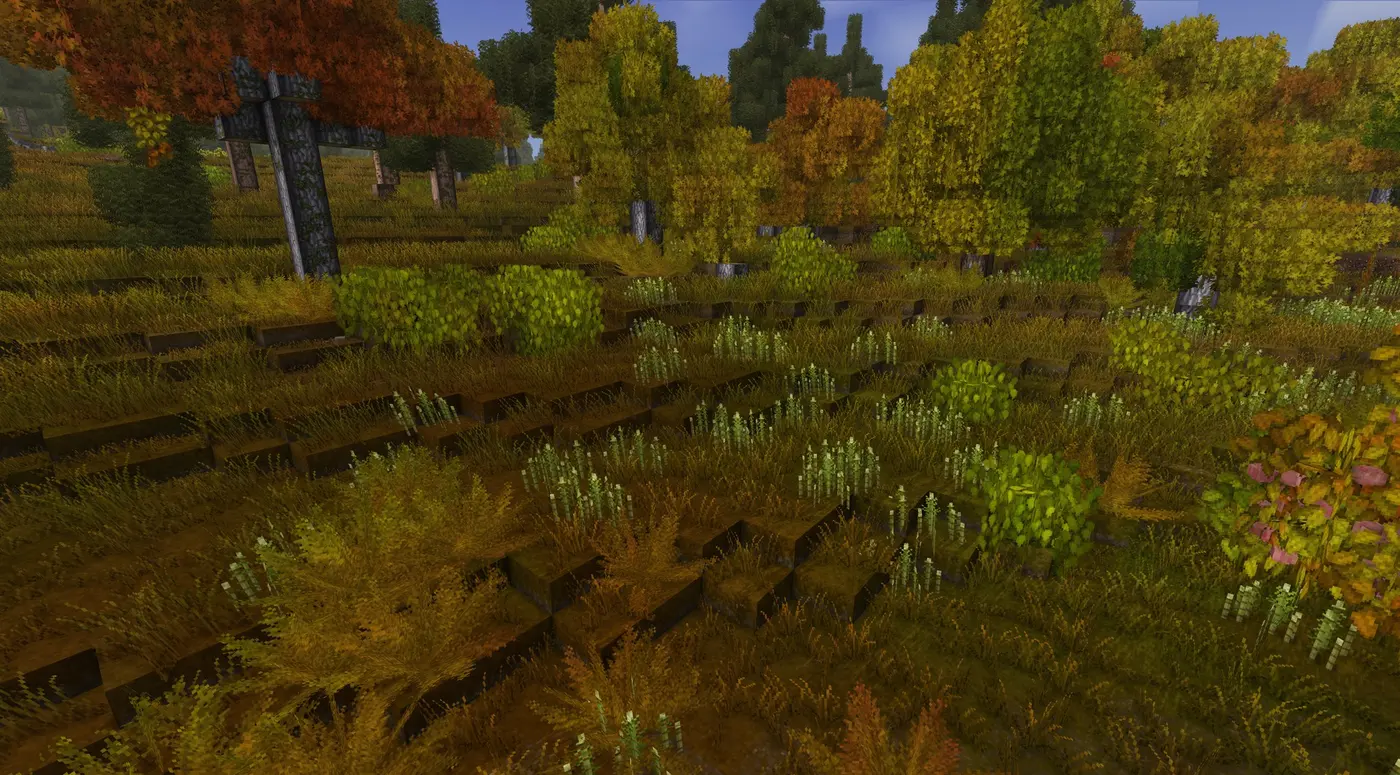 Ecosystem - Flora