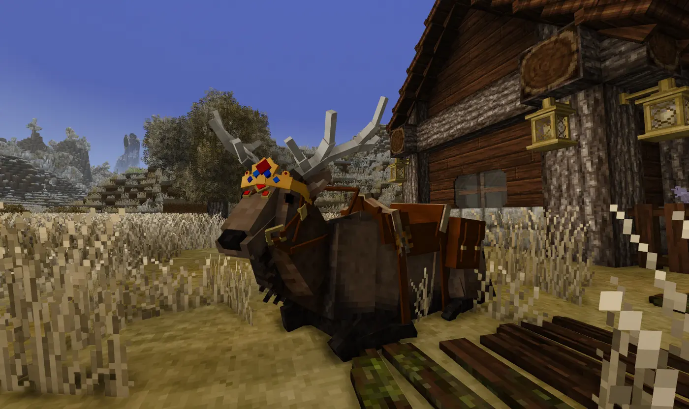 Elk Accessories