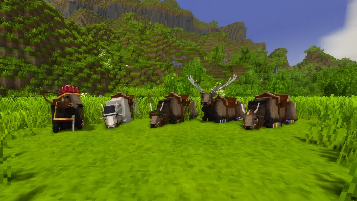 Elk Accessories