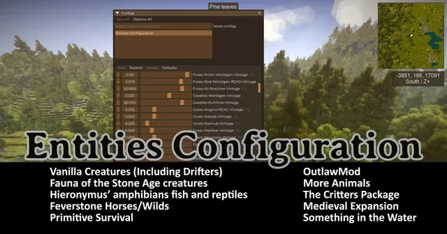 Entities Configuration