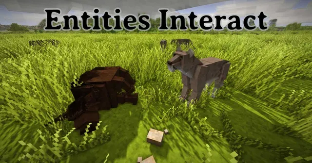 Entities Interact