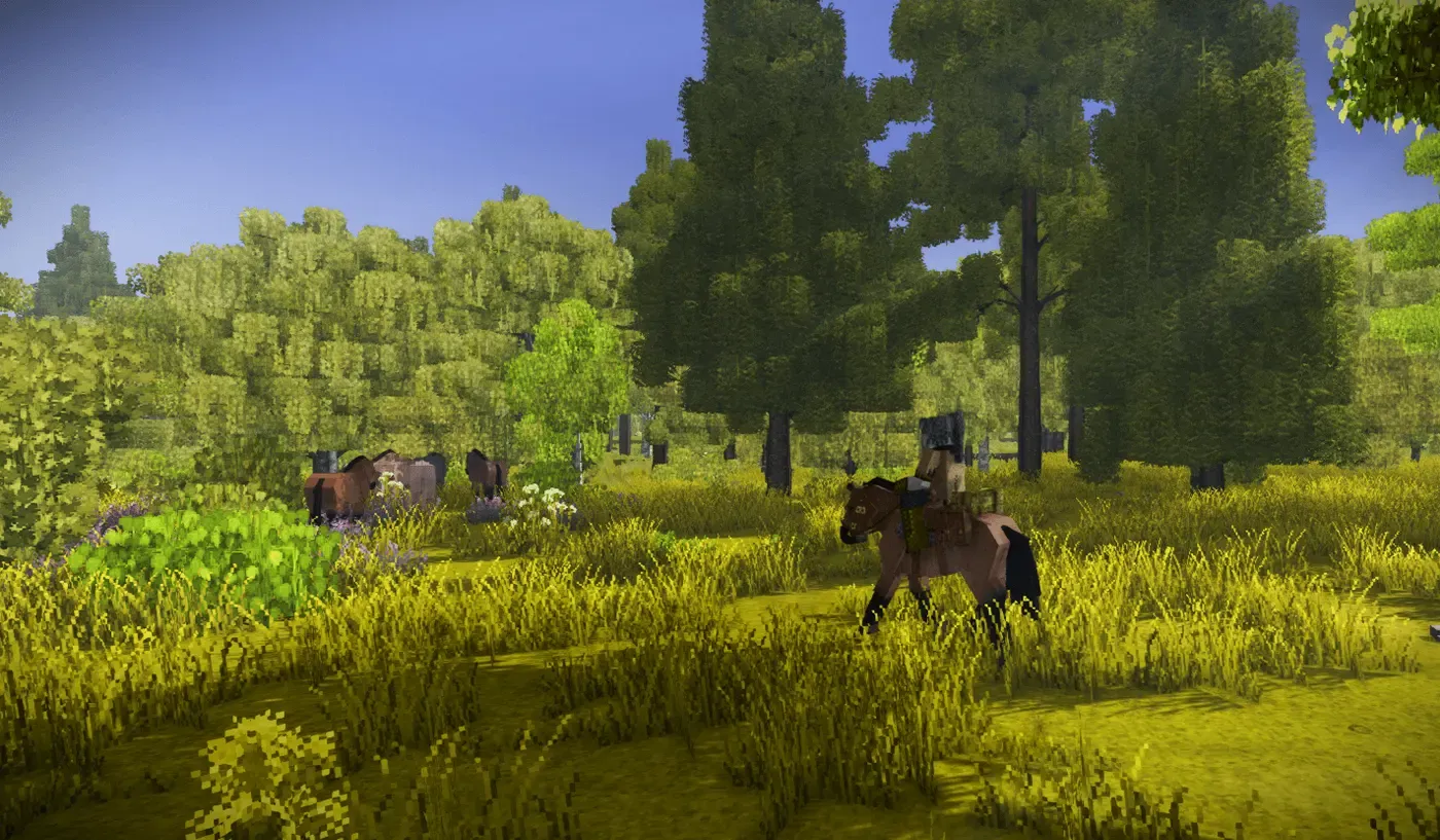 Equus: Wild Horses