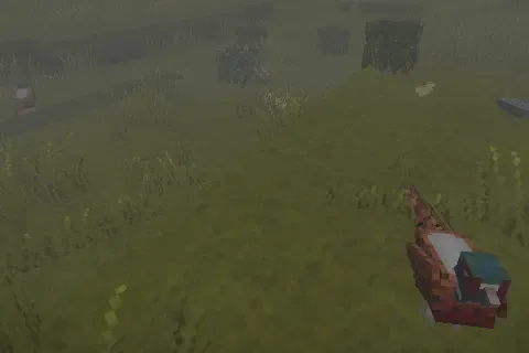 More Animals