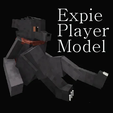 Experiment Player Model