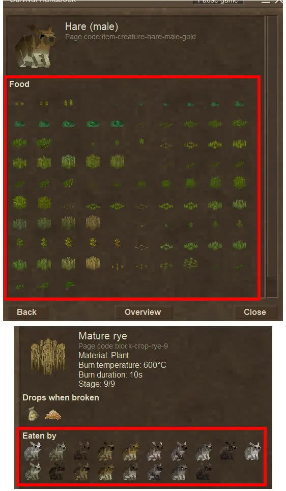 Extra Info