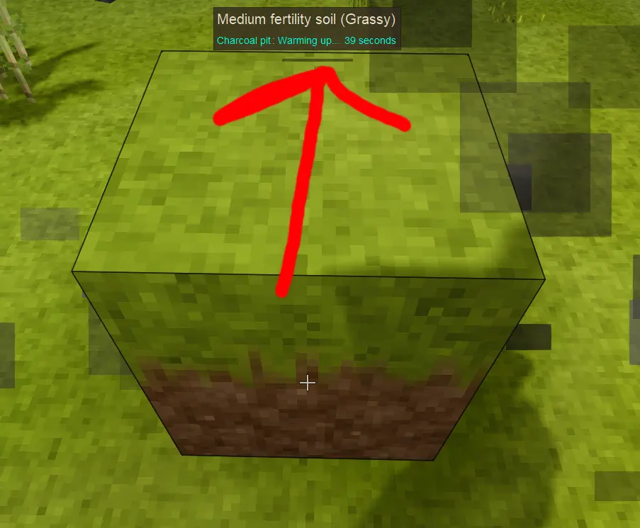 Extra Info