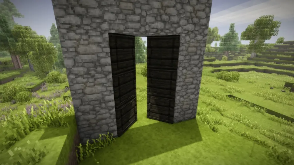 Fancy Doors