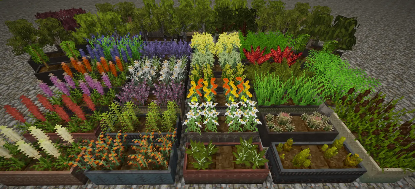Fancy Planters [Finished]