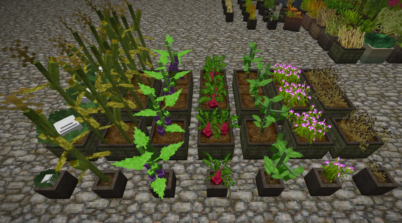 Fancy Planters [Finished]