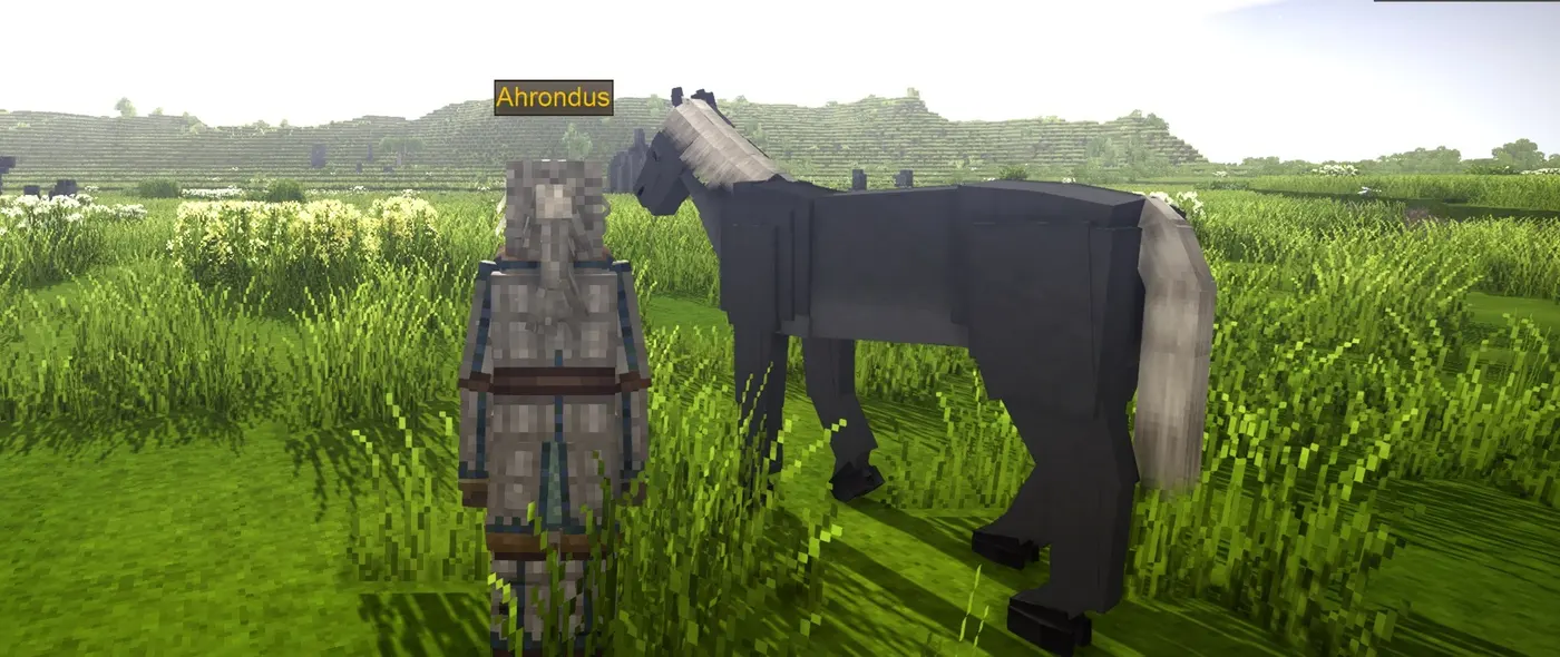 Feverstone's Horses
